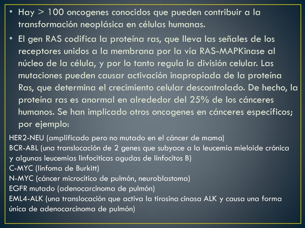 Hay > 100 oncogenes conocidos que pueden contribuir a la transformación neoplásica en células humanas.