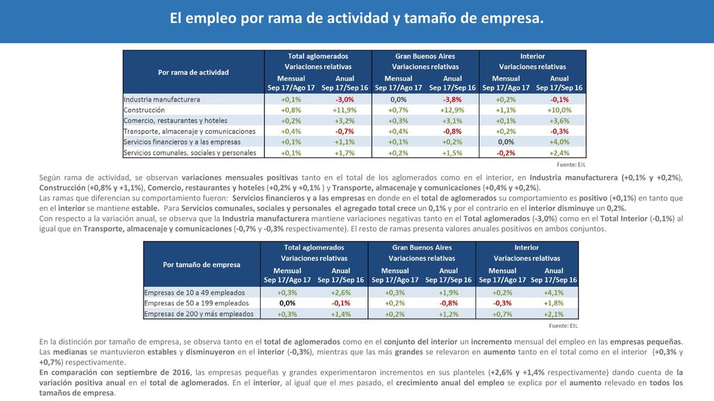 El empleo por rama de actividad y tamaño de empresa.