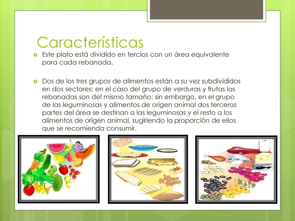 Características Este plato está dividido en tercios con un área equivalente para cada rebanada.
