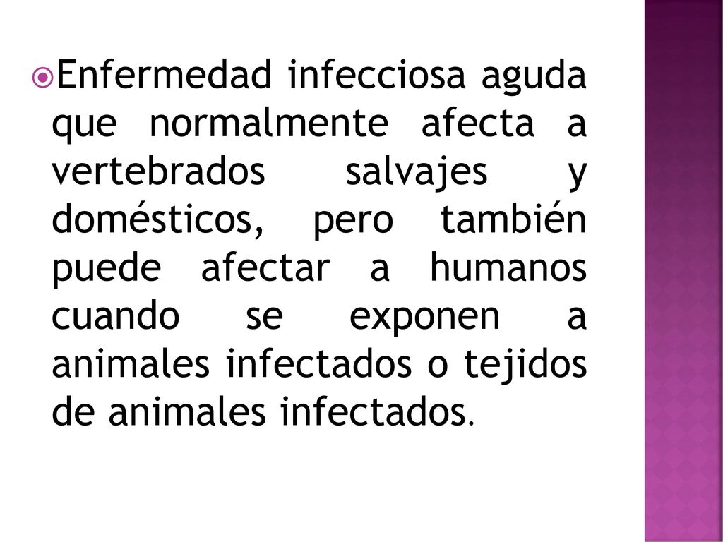 Enfermedad infecciosa aguda que normalmente afecta a vertebrados salvajes y domésticos, pero también puede afectar a humanos cuando se exponen a animales infectados o tejidos de animales infectados.