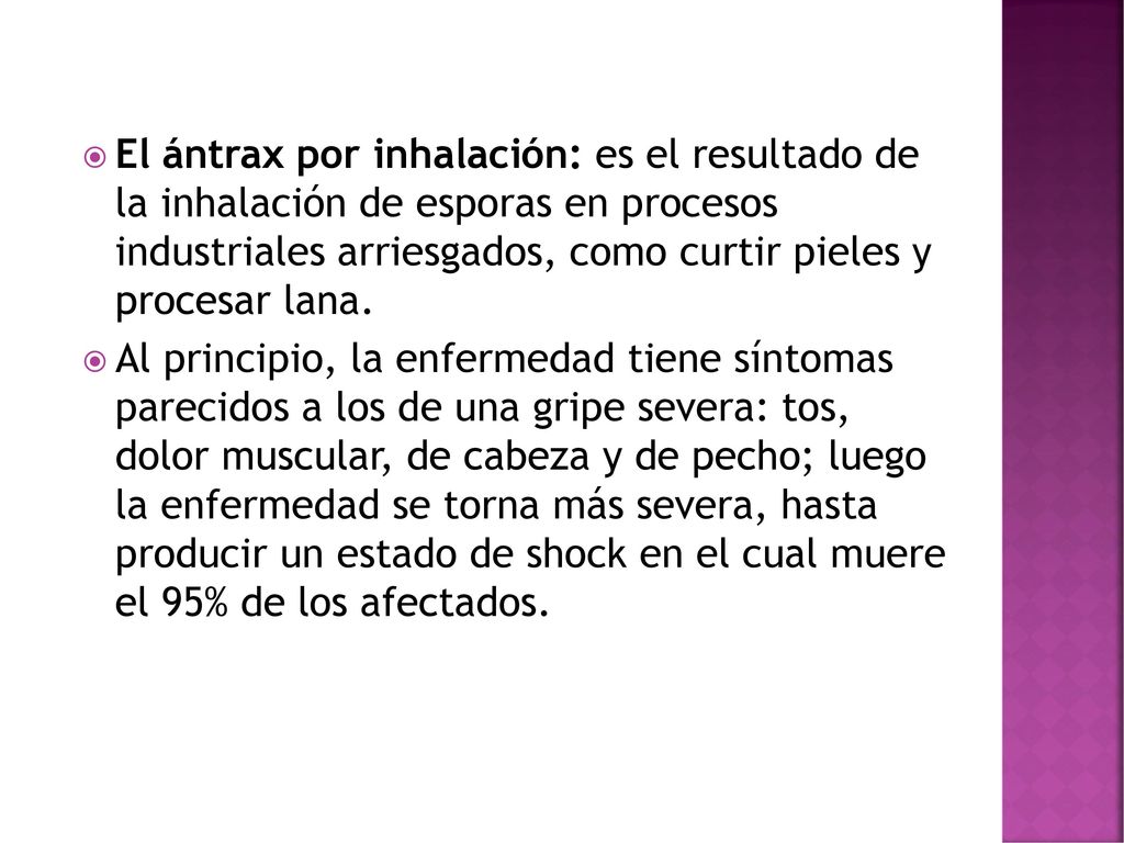 El ántrax por inhalación: es el resultado de la inhalación de esporas en procesos industriales arriesgados, como curtir pieles y procesar lana.