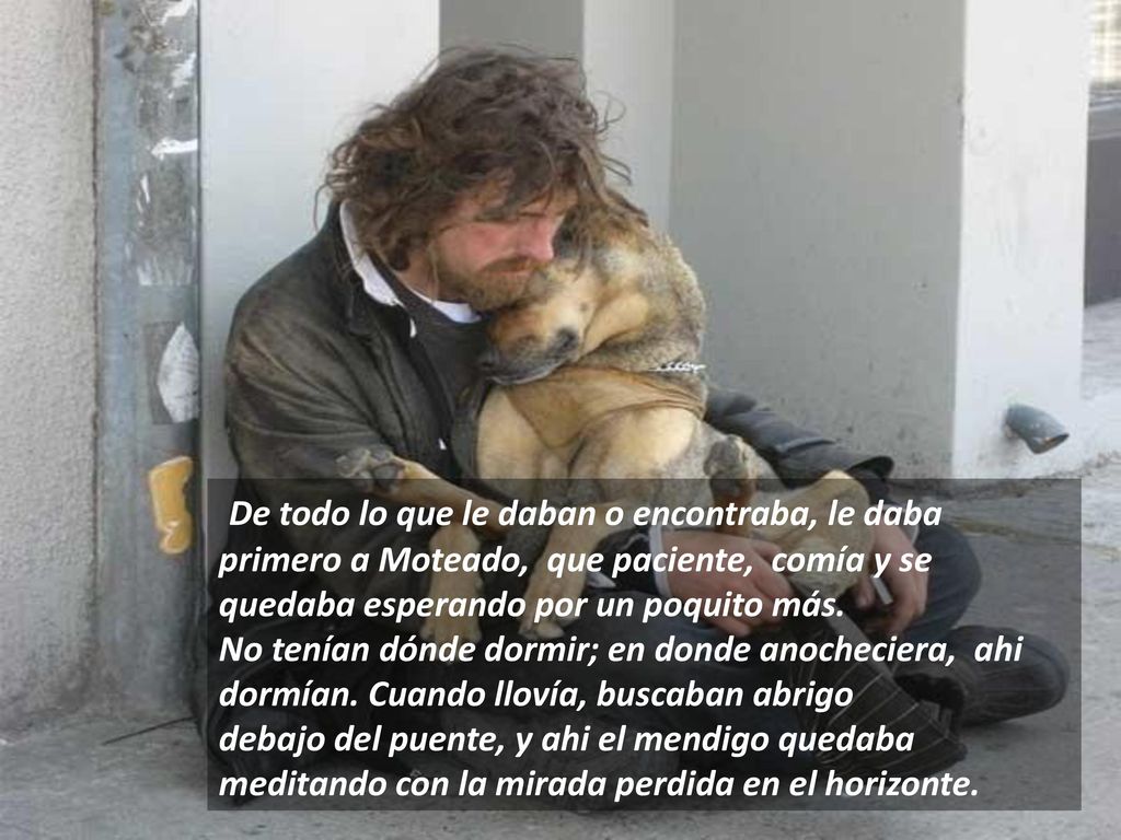 De todo lo que le daban o encontraba, le daba primero a Moteado, que paciente, comía y se quedaba esperando por un poquito más. No tenían dónde dormir; en donde anocheciera, ahi dormían. Cuando llovía, buscaban abrigo