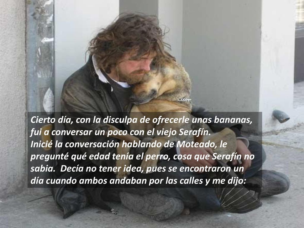 Cierto día, con la disculpa de ofrecerle unas bananas, fui a conversar un poco con el viejo Serafín. Inicié la conversación hablando de Moteado, le pregunté qué edad tenía el perro, cosa que Serafín no sabia. Decía no tener idea, pues se encontraron un día cuando ambos andaban por las calles y me dijo: