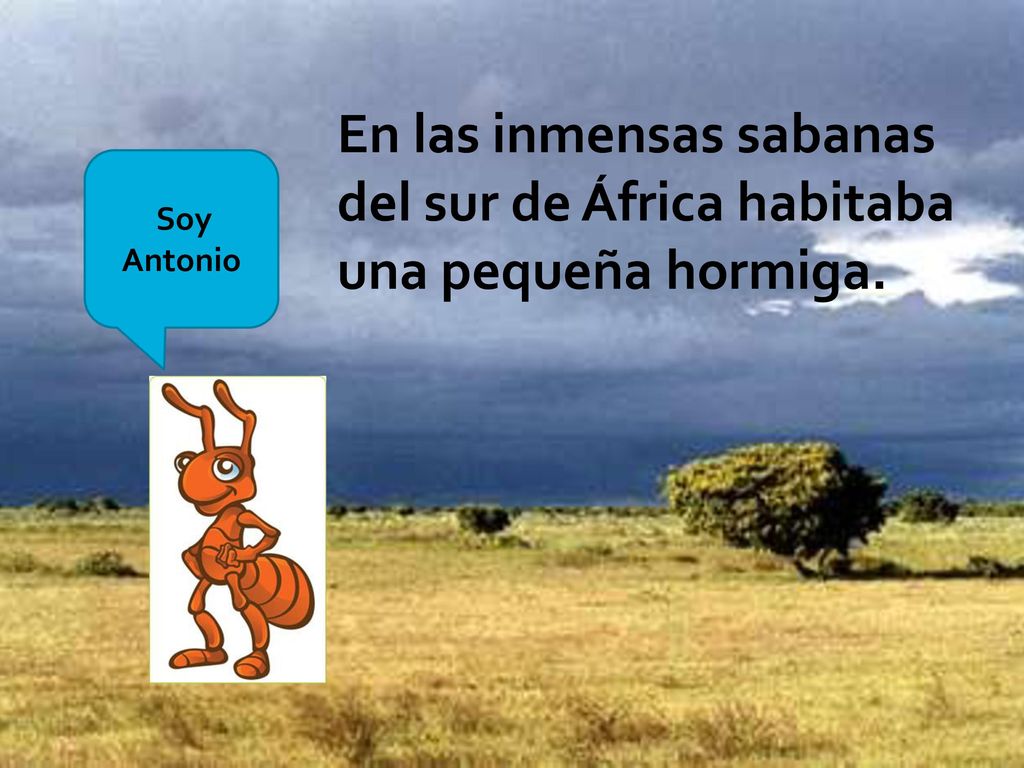 En las inmensas sabanas del sur de África habitaba una pequeña hormiga.