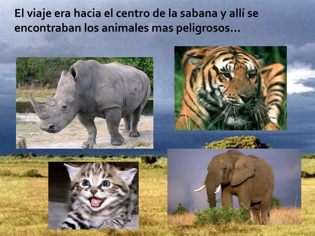 El viaje era hacia el centro de la sabana y allí se encontraban los animales mas peligrosos…