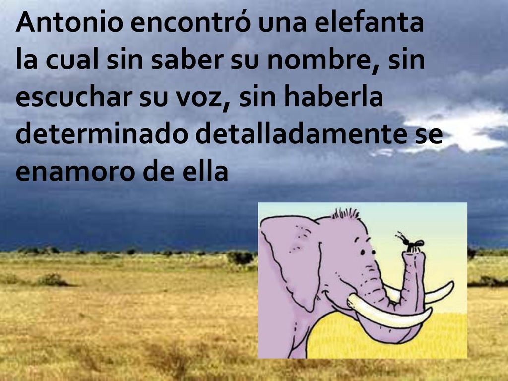 Antonio encontró una elefanta la cual sin saber su nombre, sin escuchar su voz, sin haberla determinado detalladamente se enamoro de ella
