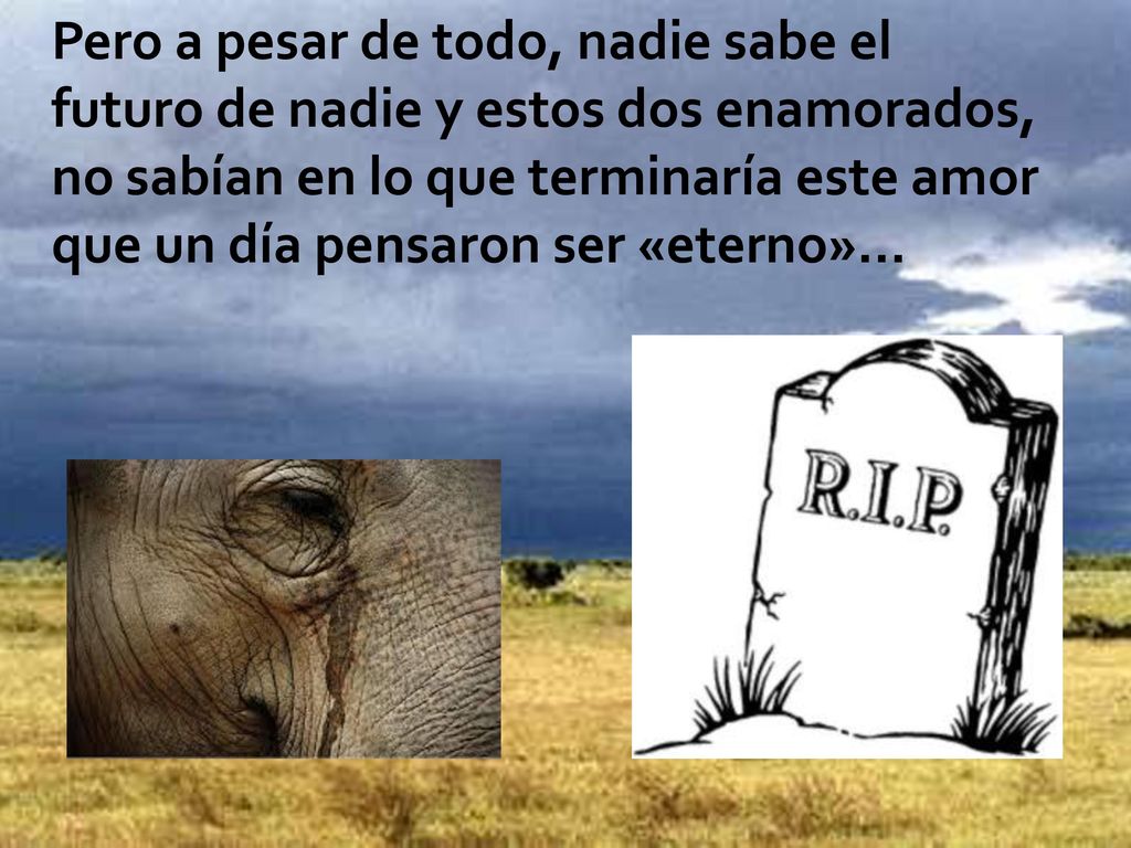 Pero a pesar de todo, nadie sabe el futuro de nadie y estos dos enamorados, no sabían en lo que terminaría este amor que un día pensaron ser «eterno»…
