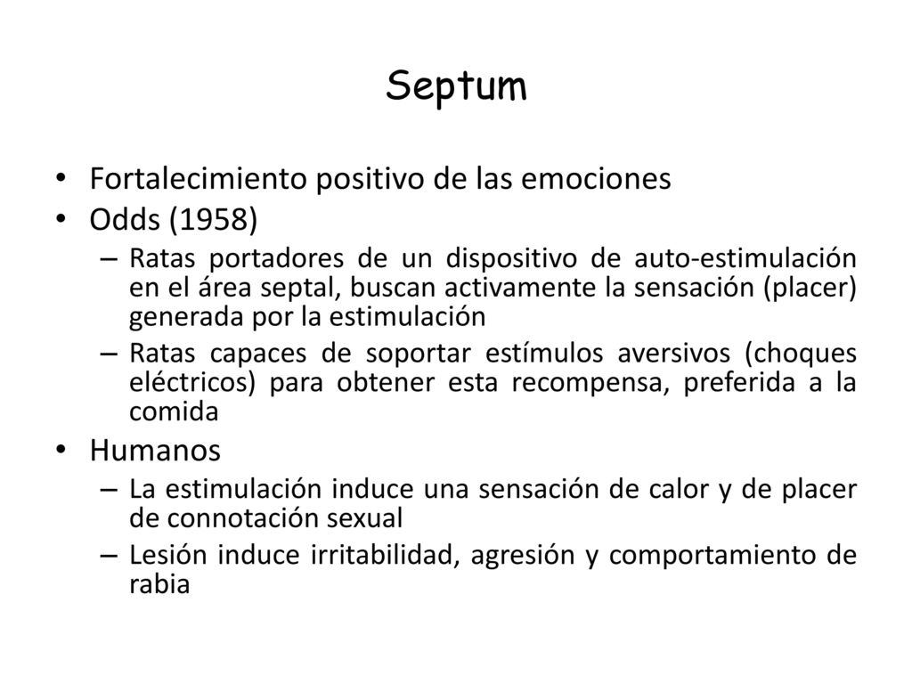 Septum Fortalecimiento positivo de las emociones Odds (1958) Humanos