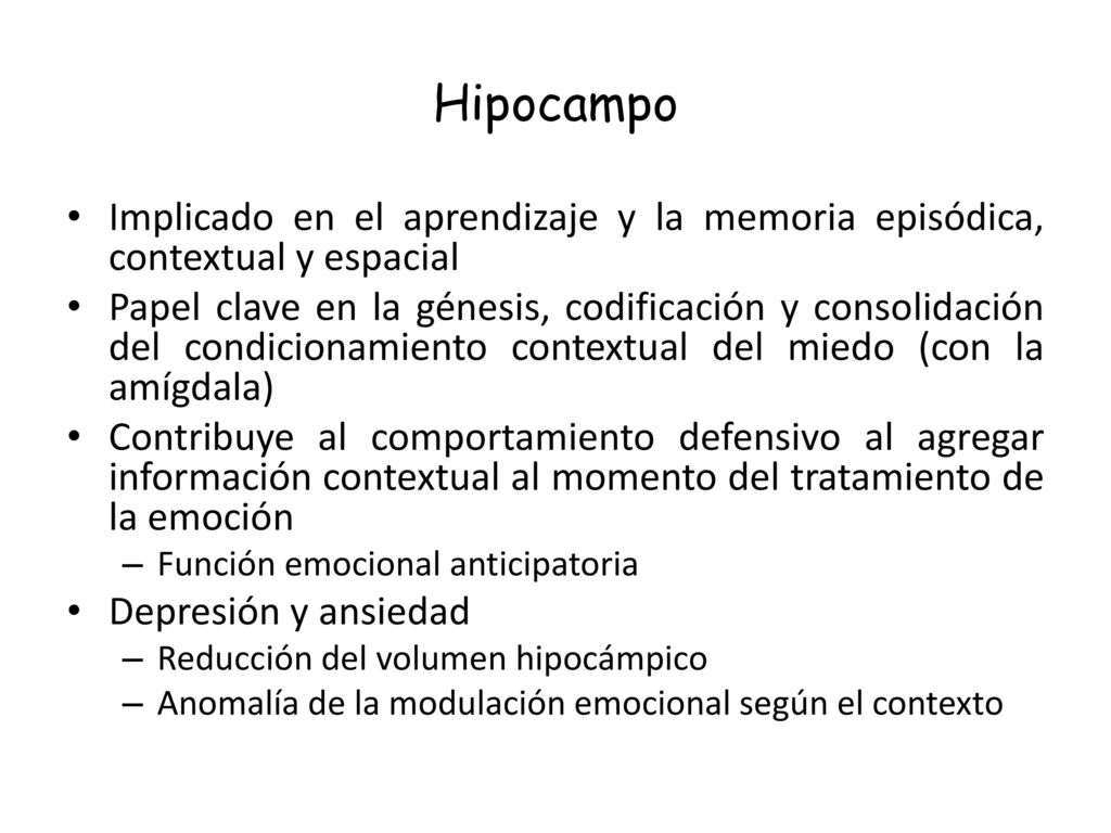 Hipocampo Implicado en el aprendizaje y la memoria episódica, contextual y espacial.