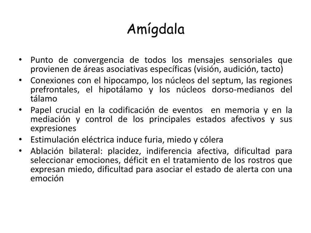 Amígdala Punto de convergencia de todos los mensajes sensoriales que provienen de áreas asociativas específicas (visión, audición, tacto)
