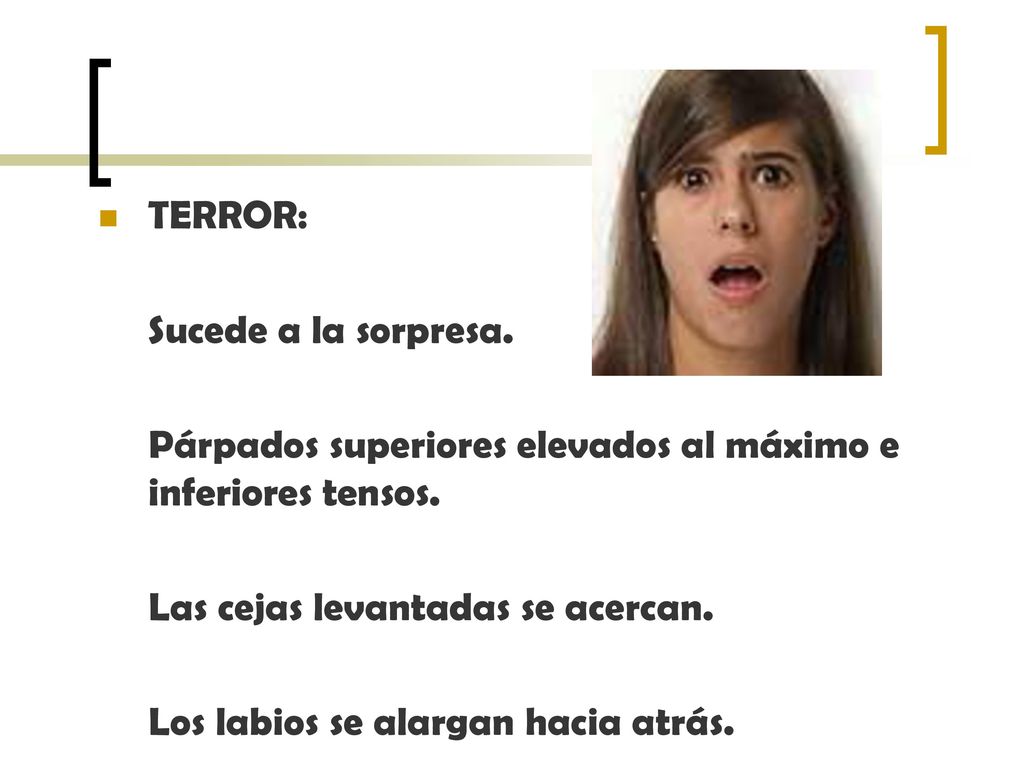 TERROR: Sucede a la sorpresa. Párpados superiores elevados al máximo e inferiores tensos. Las cejas levantadas se acercan.