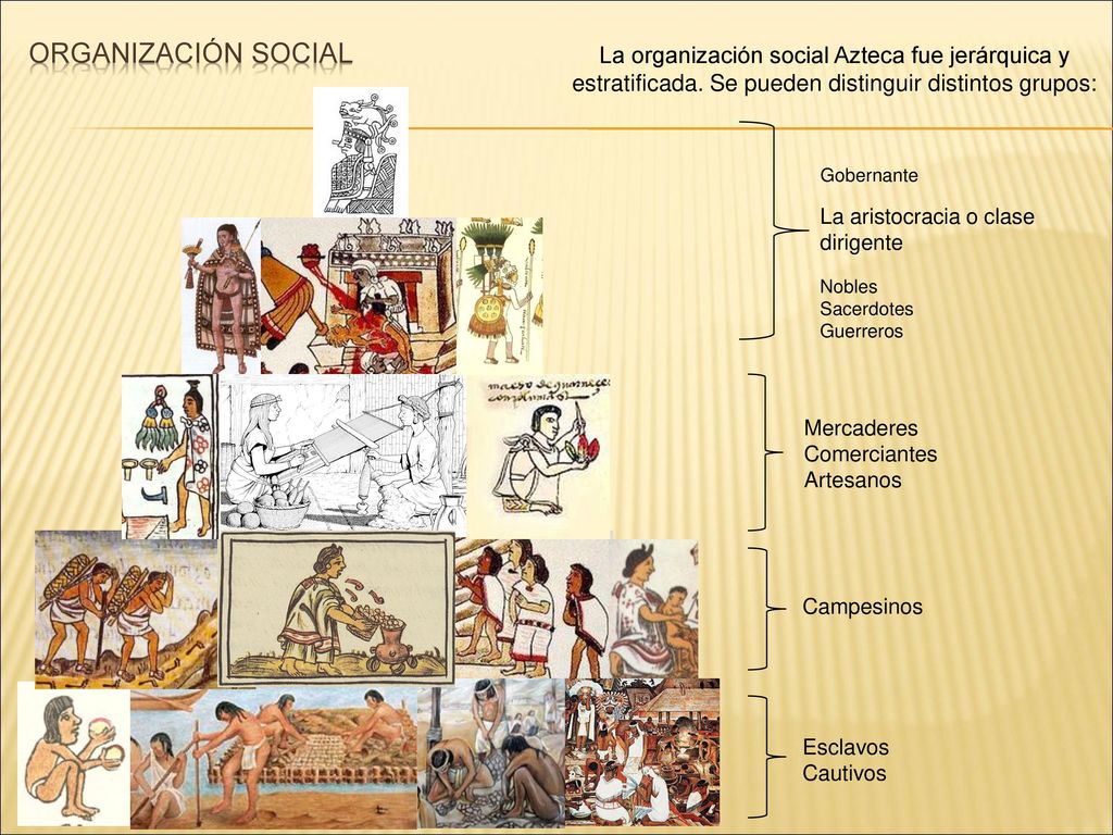 ORGANIZACIÓN SOCIAL La organización social Azteca fue jerárquica y estratificada. Se pueden distinguir distintos grupos: