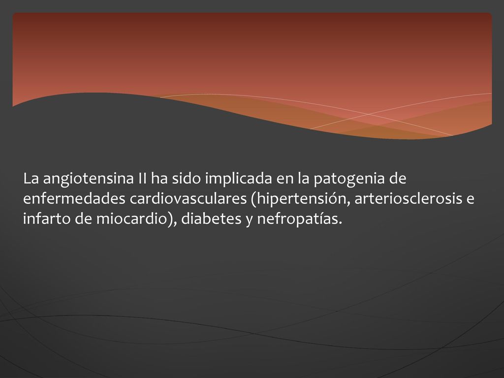 La angiotensina II ha sido implicada en la patogenia de enfermedades cardiovasculares (hipertensión, arteriosclerosis e infarto de miocardio), diabetes y nefropatías.