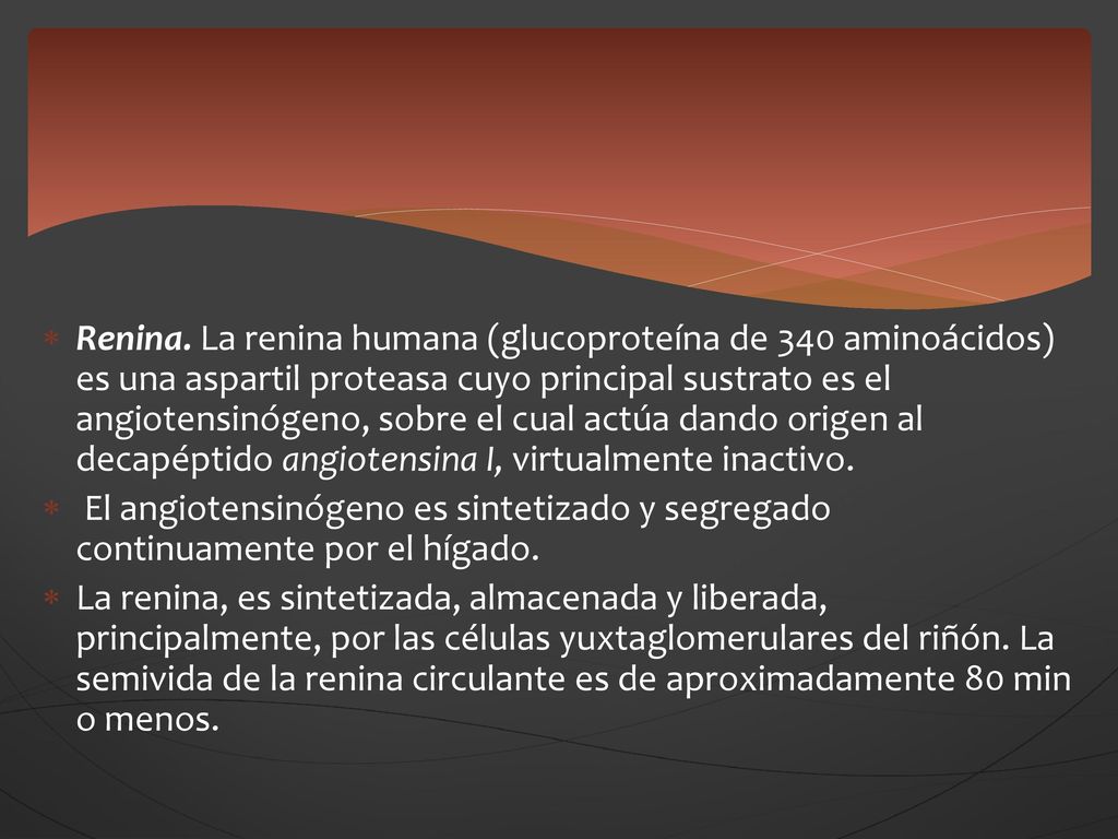 Renina. La renina humana (glucoproteína de 340 aminoácidos) es una aspartil proteasa cuyo principal sustrato es el angiotensinógeno, sobre el cual actúa dando origen al decapéptido angiotensina I, virtualmente inactivo.