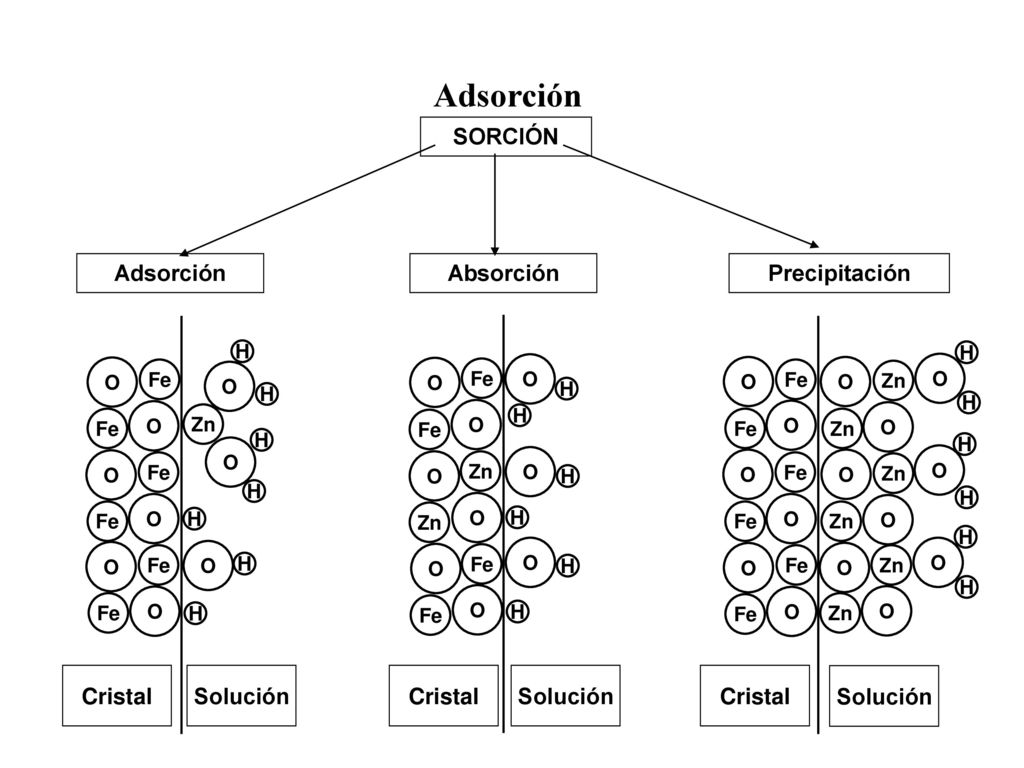 Adsorción SORCIÓN Adsorción Absorción Precipitación Cristal Solución
