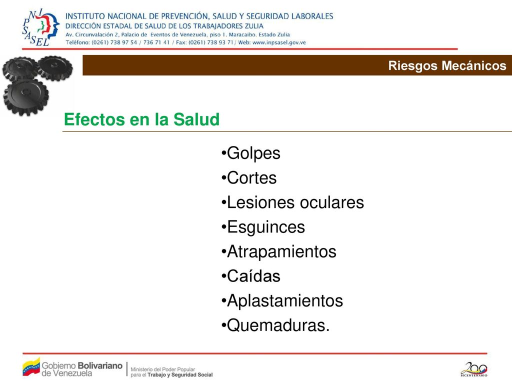 Efectos en la Salud Golpes Cortes Lesiones oculares Esguinces
