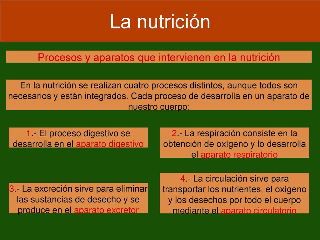 La nutrición Procesos y aparatos que intervienen en la nutrición