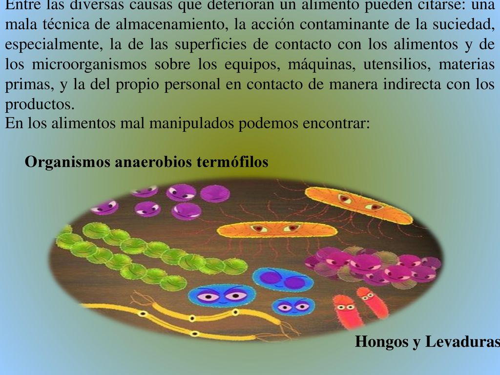 Entre las diversas causas que deterioran un alimento pueden citarse: una mala técnica de almacenamiento, la acción contaminante de la suciedad, especialmente, la de las superficies de contacto con los alimentos y de los microorganismos sobre los equipos, máquinas, utensilios, materias primas, y la del propio personal en contacto de manera indirecta con los productos.