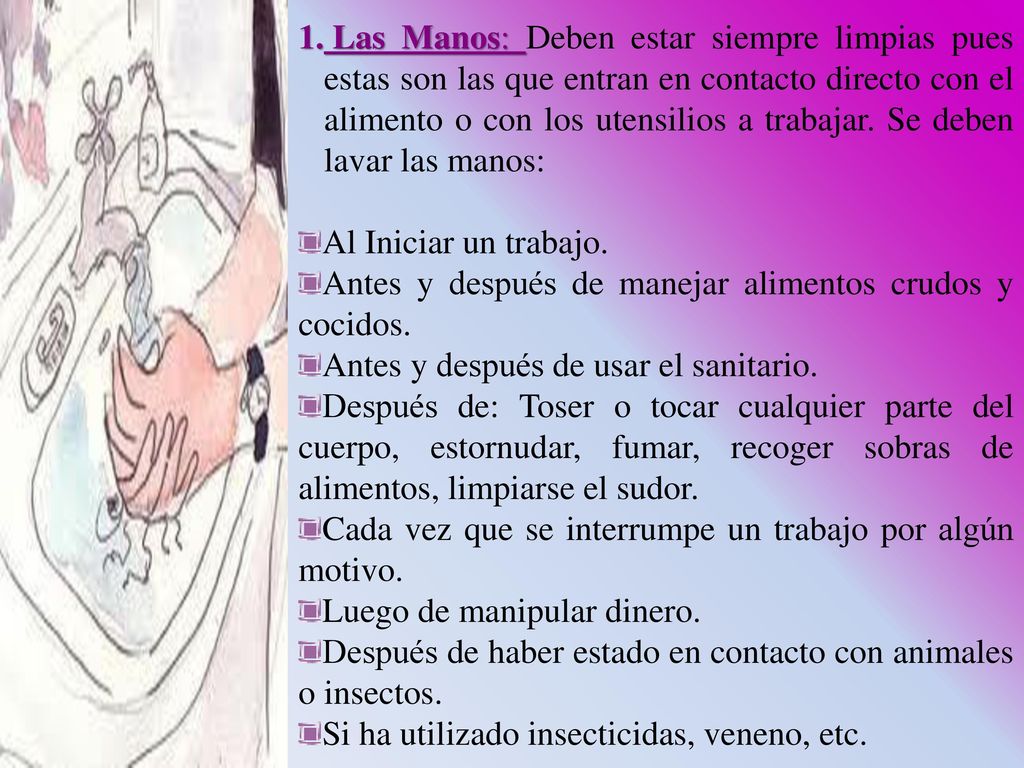 Las Manos: Deben estar siempre limpias pues estas son las que entran en contacto directo con el alimento o con los utensilios a trabajar. Se deben lavar las manos: