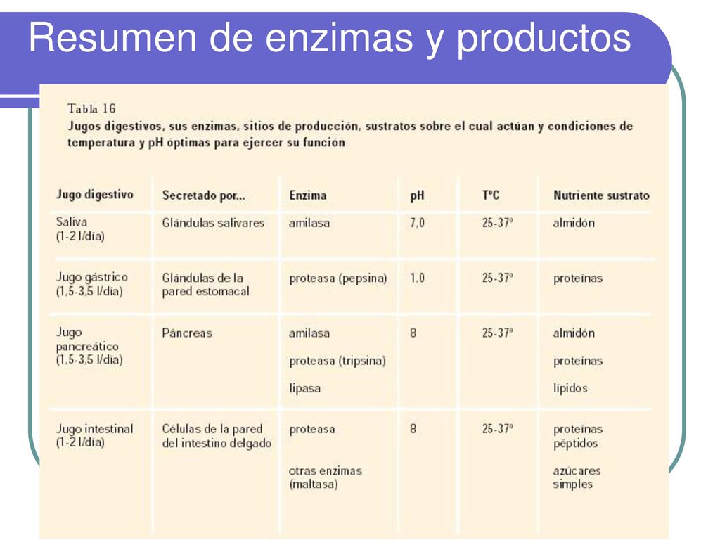 Resumen de enzimas y productos