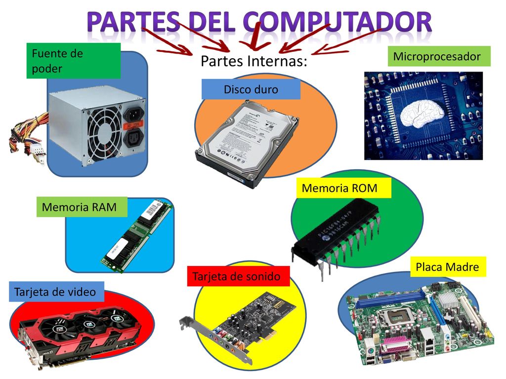 La Parte Interna Del Computador