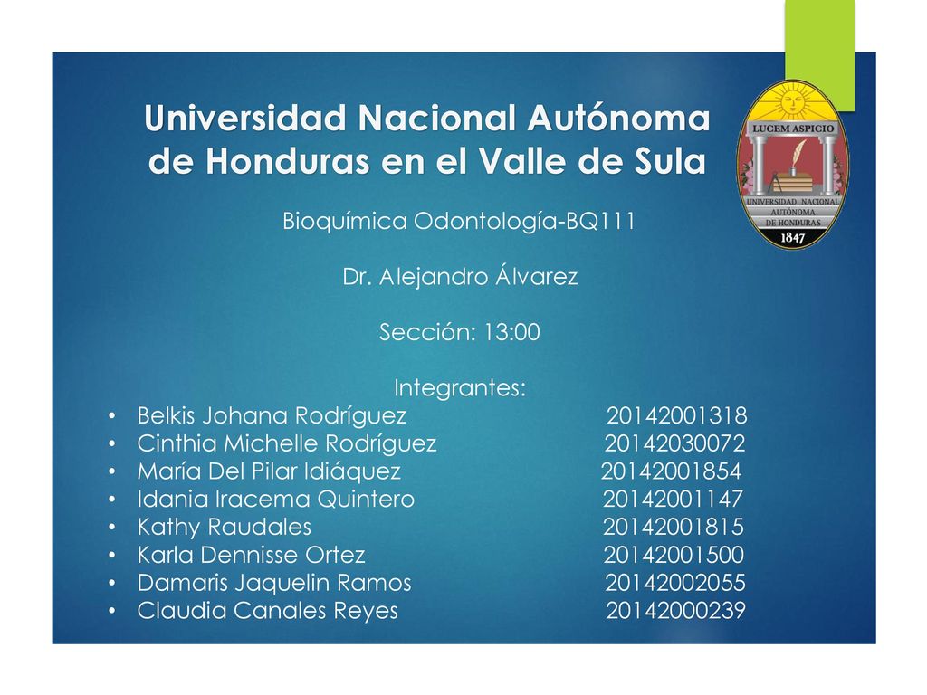 Universidad Nacional Autónoma de Honduras en el Valle de Sula