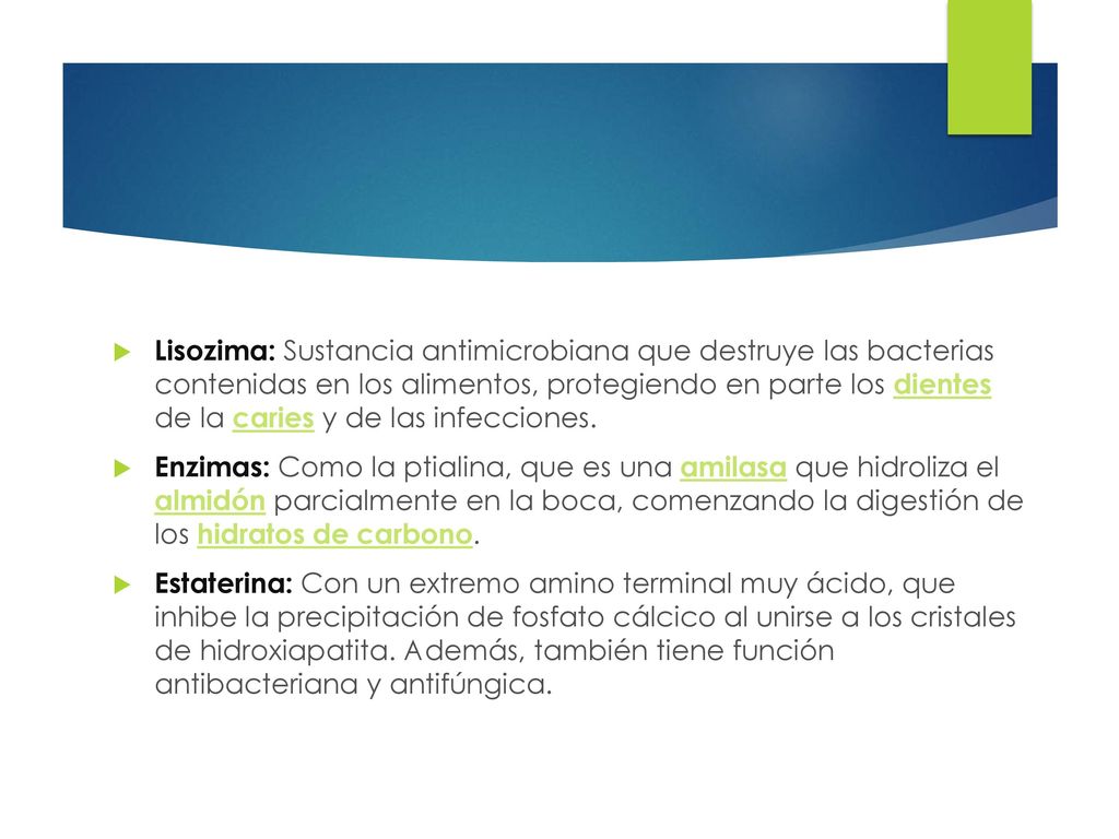 Lisozima: Sustancia antimicrobiana que destruye las bacterias contenidas en los alimentos, protegiendo en parte los dientes de la caries y de las infecciones.