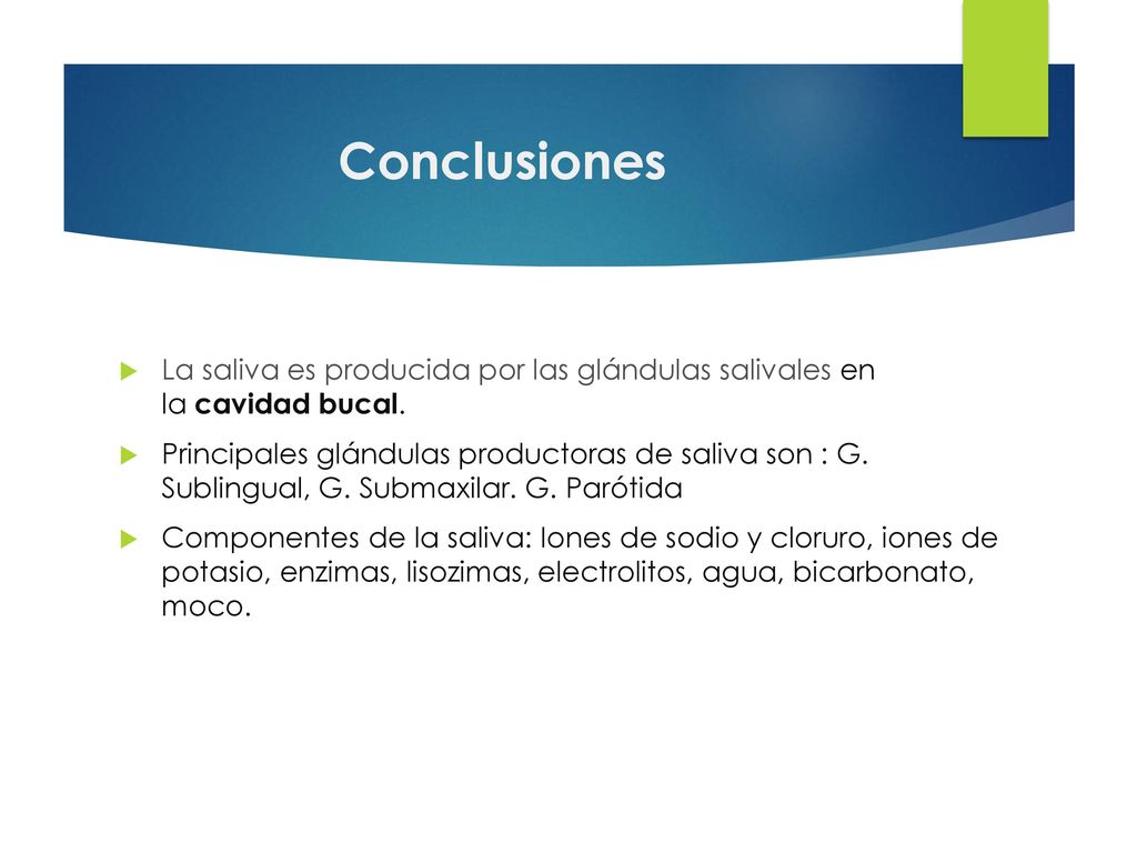 Conclusiones La saliva es producida por las glándulas salivales en la cavidad bucal.