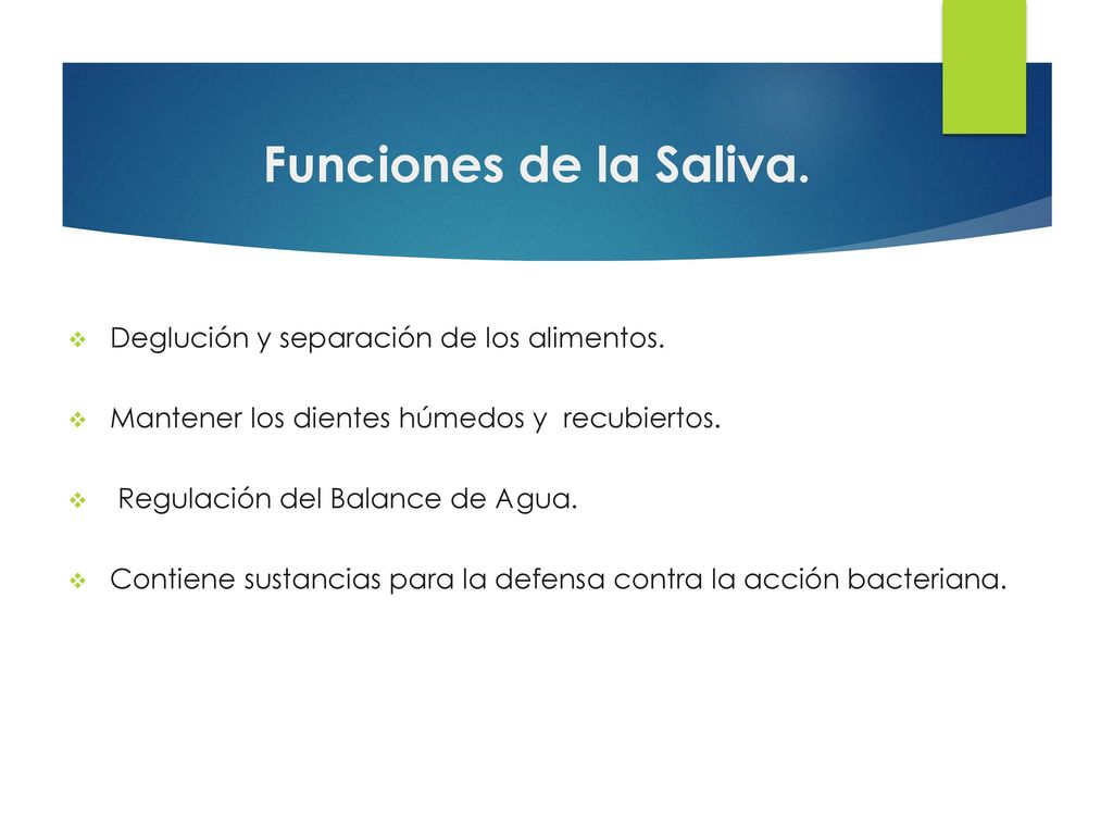 Funciones de la Saliva. Deglución y separación de los alimentos.