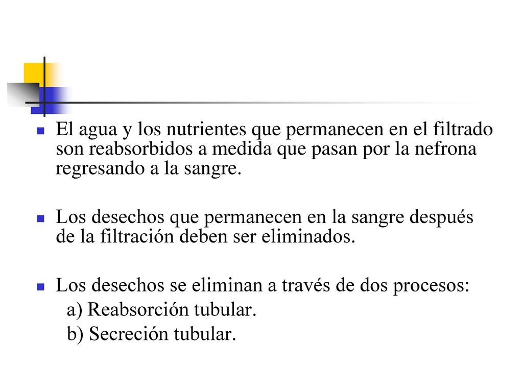 El agua y los nutrientes que permanecen en el filtrado son reabsorbidos a medida que pasan por la nefrona regresando a la sangre.
