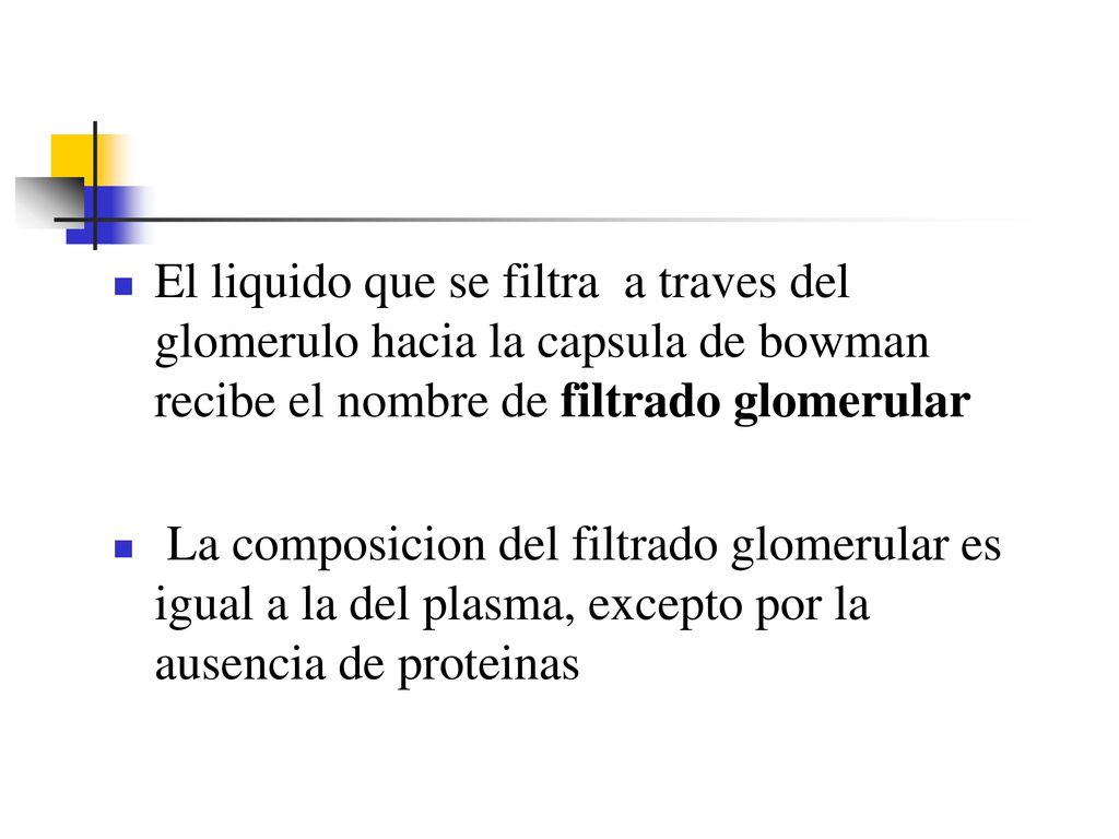 El liquido que se filtra a traves del glomerulo hacia la capsula de bowman recibe el nombre de filtrado glomerular