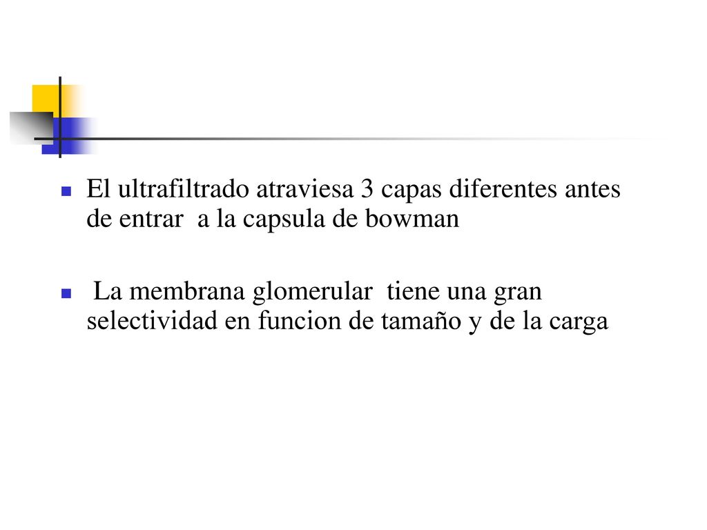El ultrafiltrado atraviesa 3 capas diferentes antes de entrar a la capsula de bowman