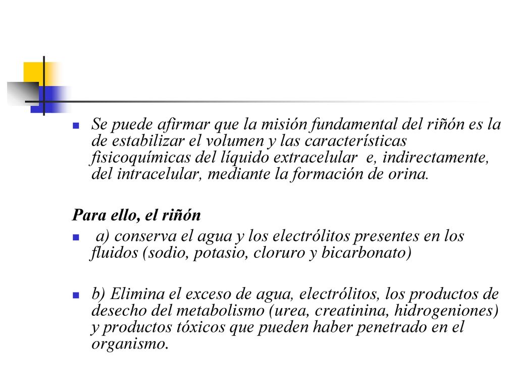 Se puede afirmar que la misión fundamental del riñón es la de estabilizar el volumen y las características fisicoquímicas del líquido extracelular e, indirectamente, del intracelular, mediante la formación de orina.