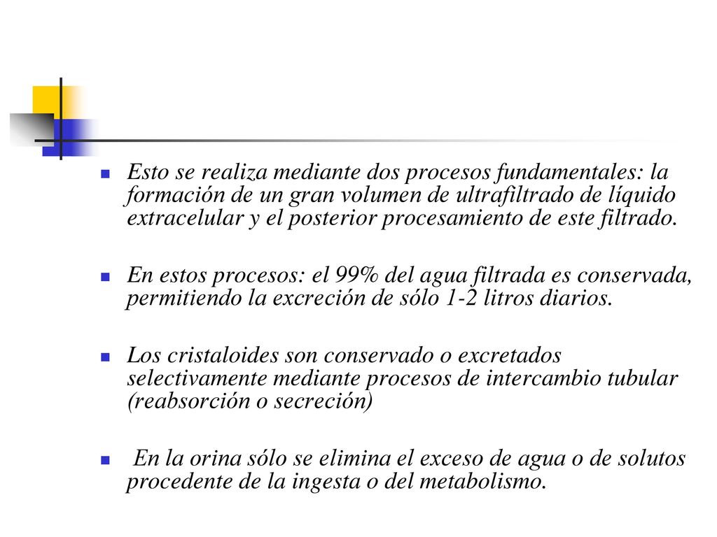 Esto se realiza mediante dos procesos fundamentales: la formación de un gran volumen de ultrafiltrado de líquido extracelular y el posterior procesamiento de este filtrado.