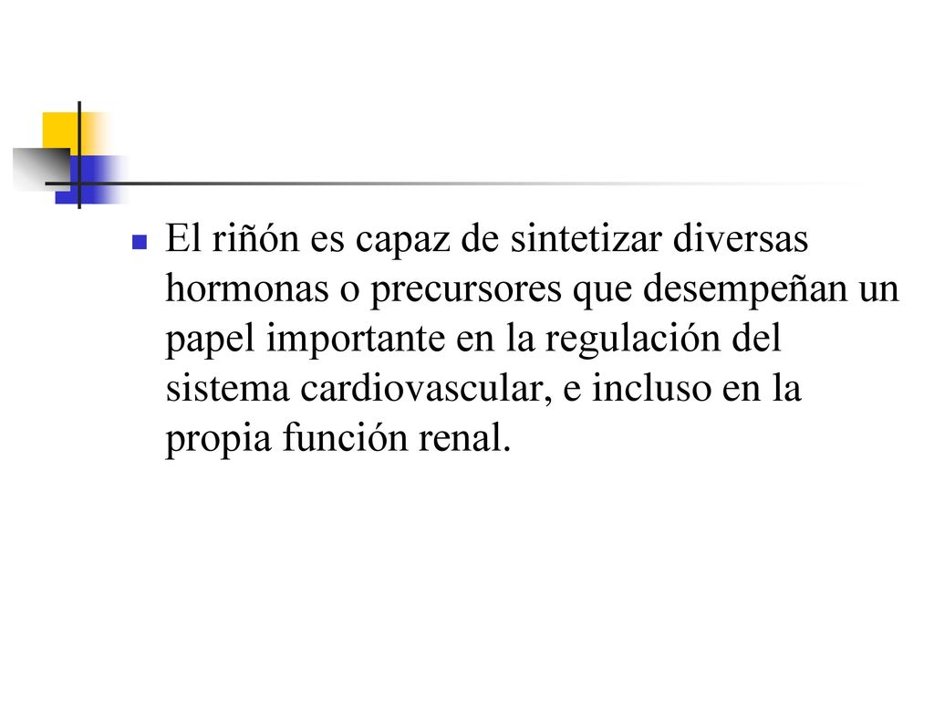 El riñón es capaz de sintetizar diversas hormonas o precursores que desempeñan un papel importante en la regulación del sistema cardiovascular, e incluso en la propia función renal.