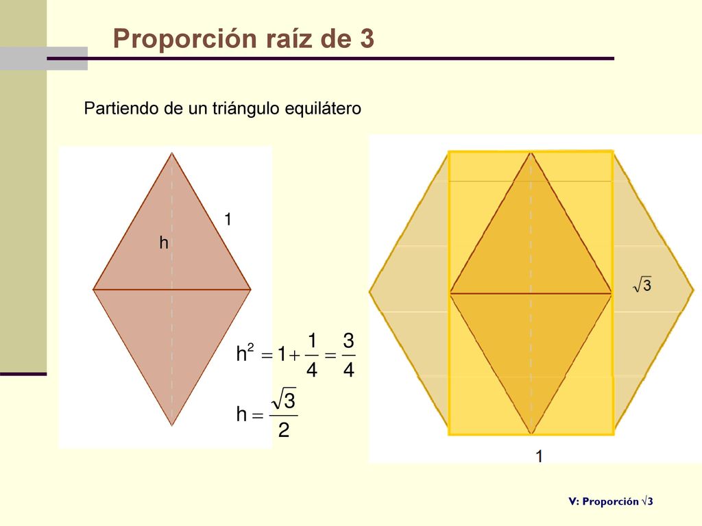 Proporción raíz de 3 Partiendo de un triángulo equilátero 1 h