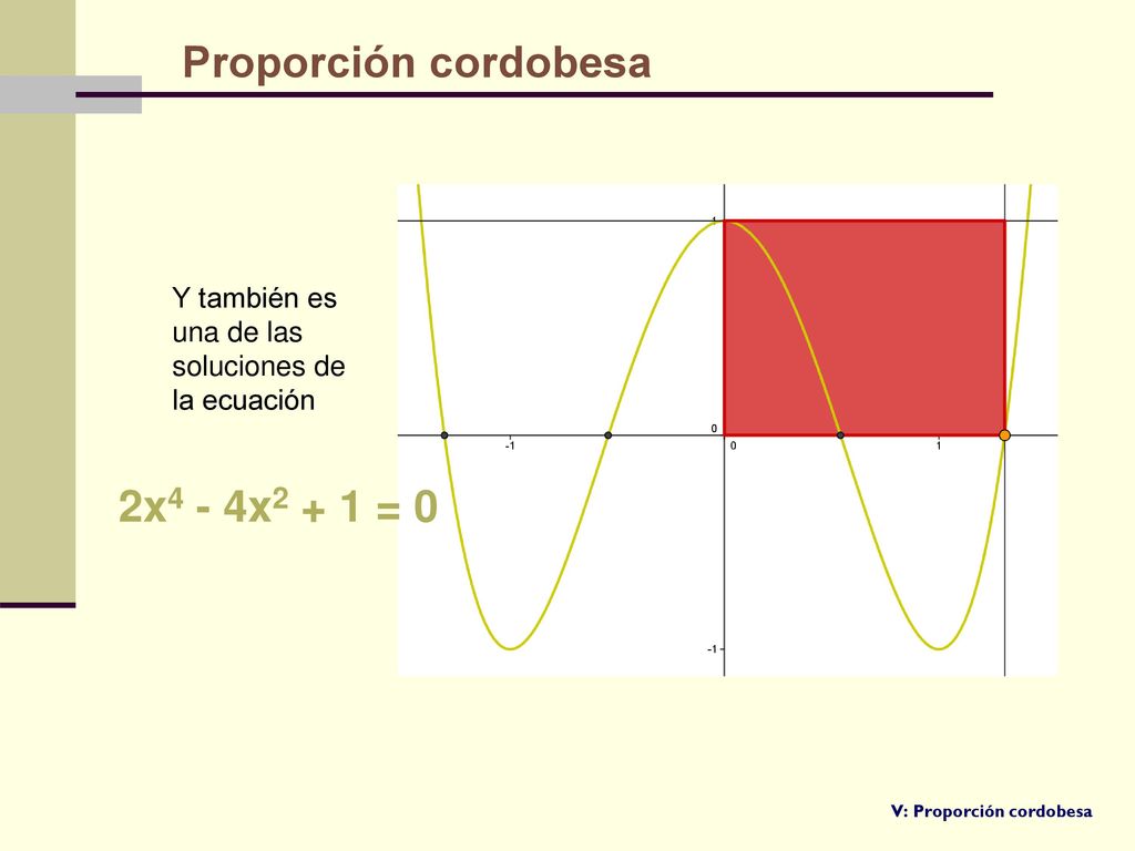 Proporción cordobesa 2x4 - 4x2 + 1 = 0