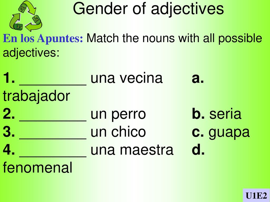 Gender of adjectives 1. ________ una vecina a. trabajador