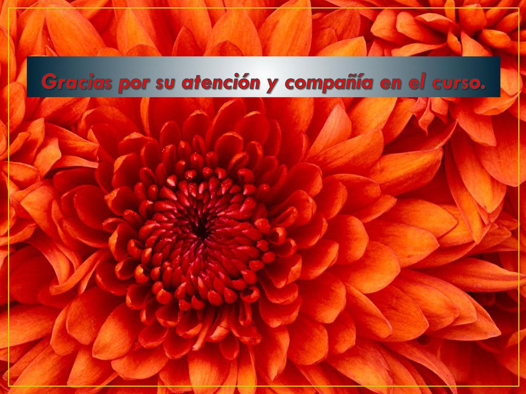 Gracias por su atención y compañía en el curso.