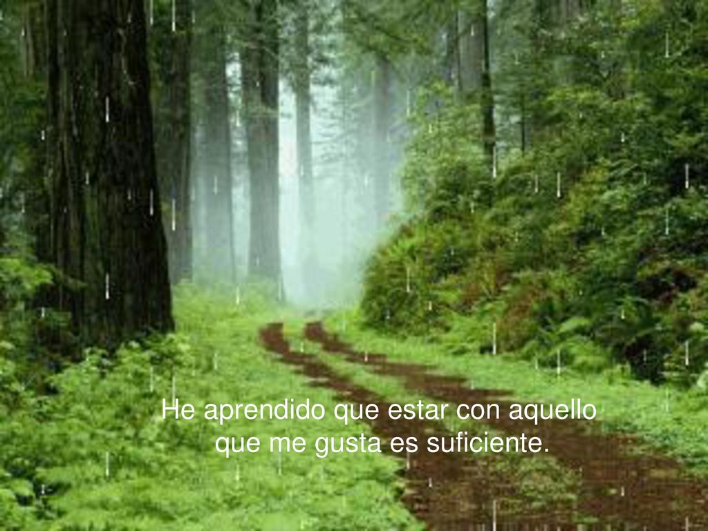 He aprendido que estar con aquello que me gusta es suficiente.