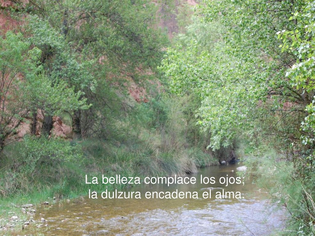 La belleza complace los ojos; la dulzura encadena el alma.
