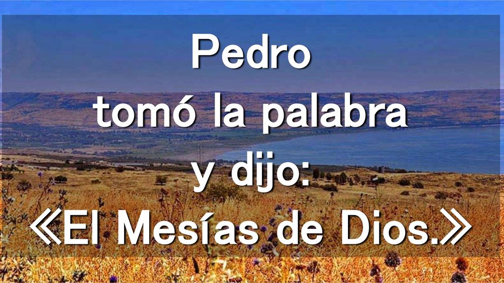 Pedro tomó la palabra y dijo: «El Mesías de Dios.»