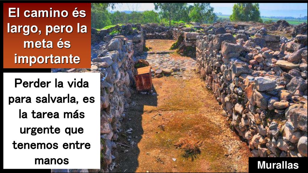El camino és largo, pero la meta és importante
