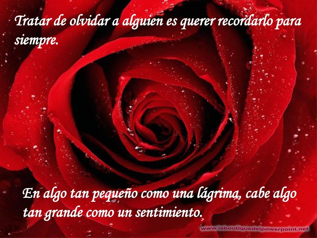 Tratar de olvidar a alguien es querer recordarlo para siempre.