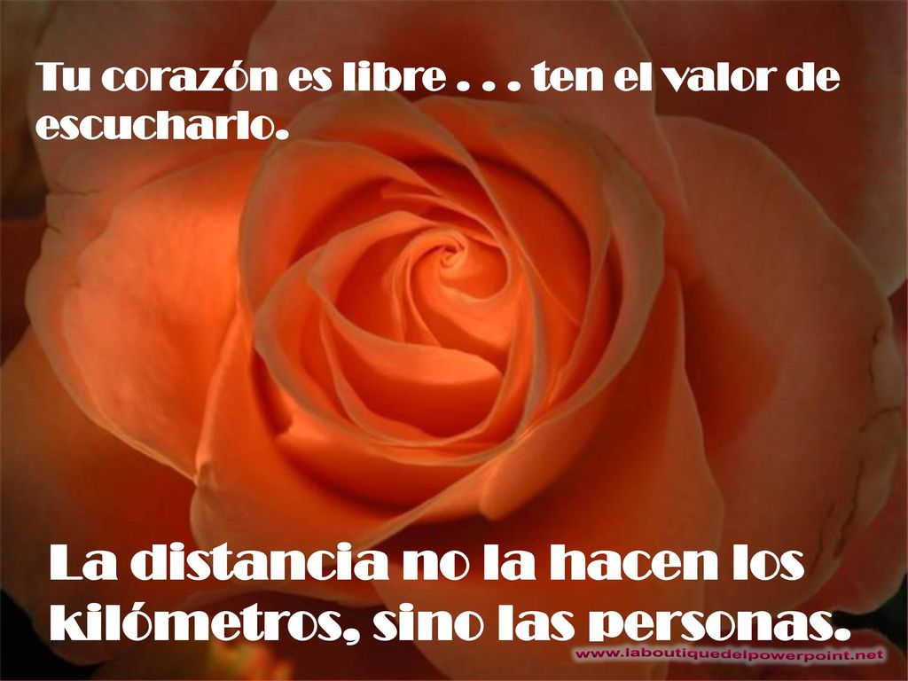La distancia no la hacen los kilómetros, sino las personas.