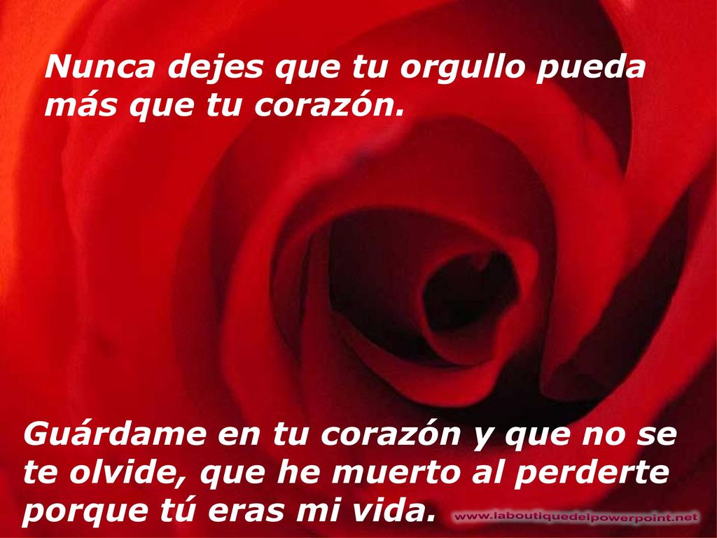 Nunca dejes que tu orgullo pueda más que tu corazón.