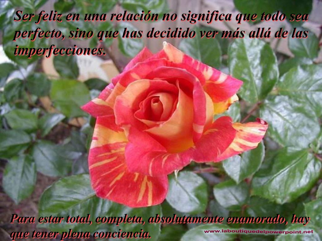 Ser feliz en una relación no significa que todo sea perfecto, sino que has decidido ver más allá de las imperfecciones.