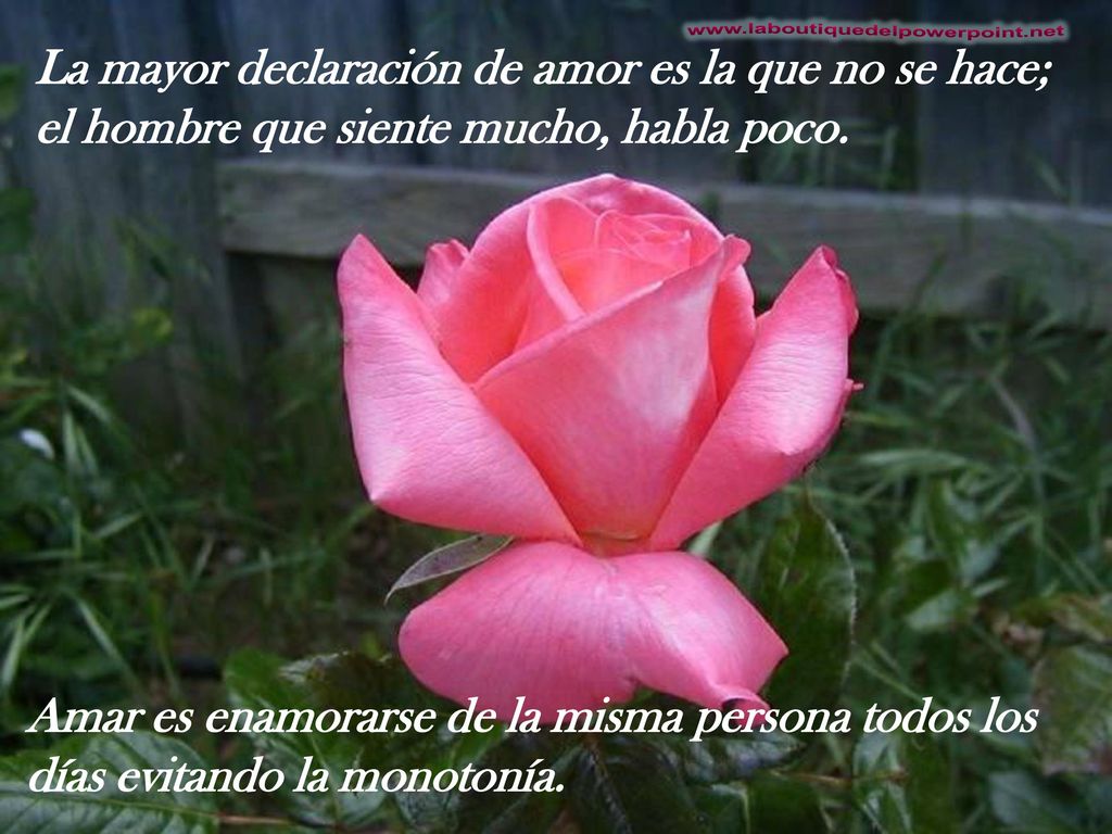 La mayor declaración de amor es la que no se hace; el hombre que siente mucho, habla poco.