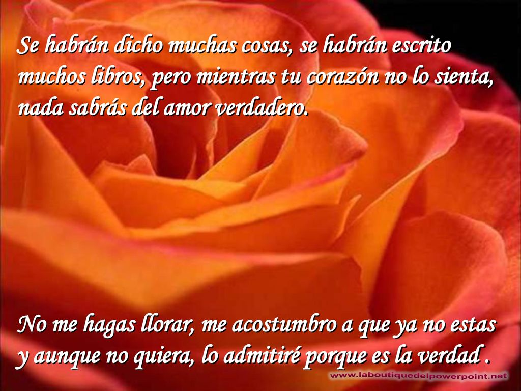 Se habrán dicho muchas cosas, se habrán escrito muchos libros, pero mientras tu corazón no lo sienta, nada sabrás del amor verdadero.
