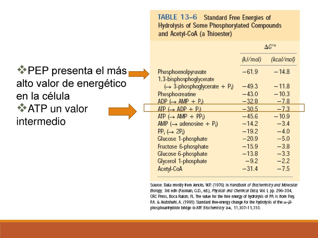 PEP presenta el más alto valor de energético en la célula